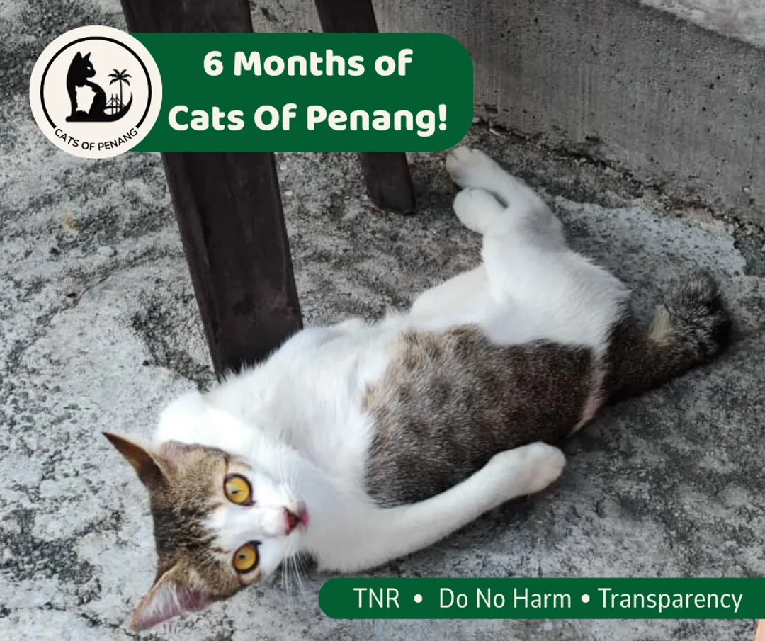 6 Months In – Every Goal Met